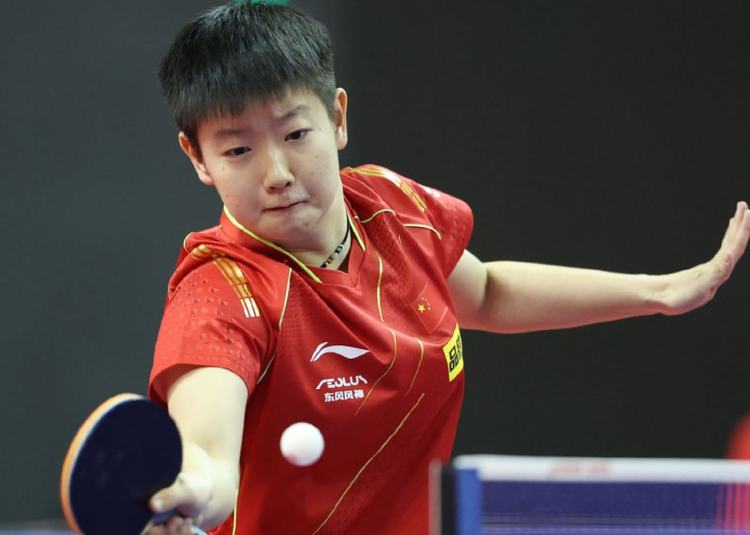 的球场洞察 的球场洞察